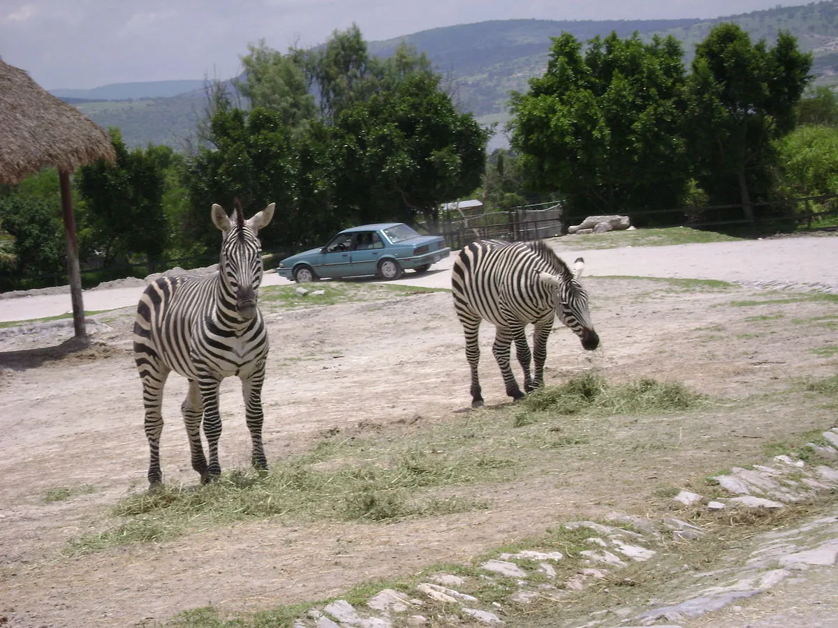 Cómo se llama el zoológico que está en Puebla